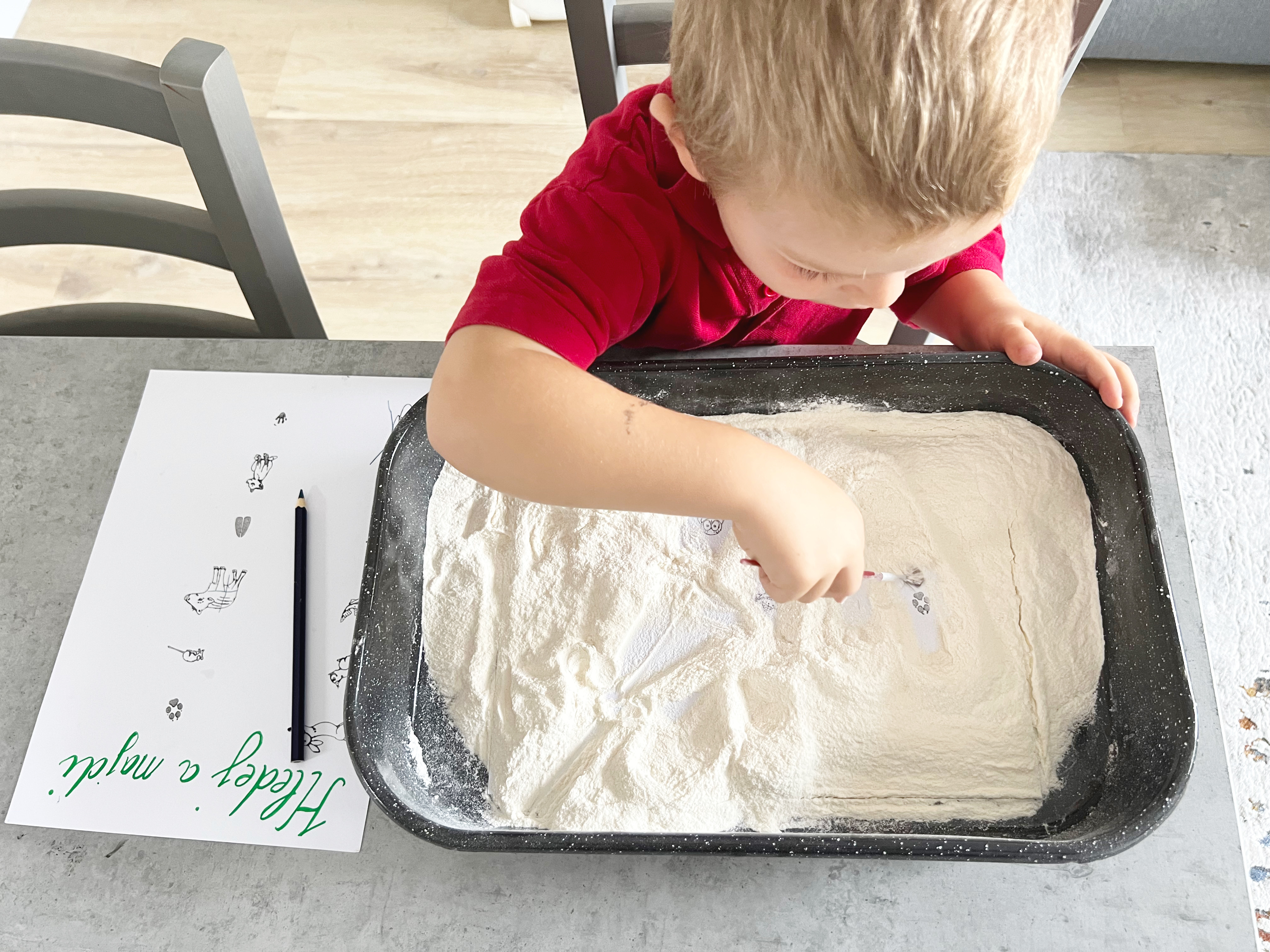 razítka lesní zvířátka