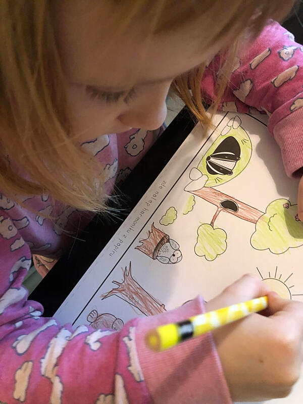 rozhovor o&nbsp;domácím vzdělávání - portfoliové přezkoušení