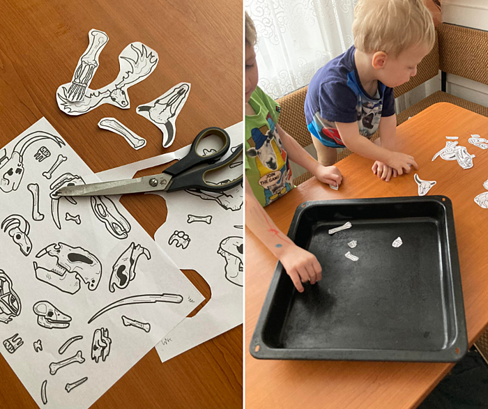 dinosauří aktivity na&nbsp;doma - hledání kostry v&nbsp;mouce