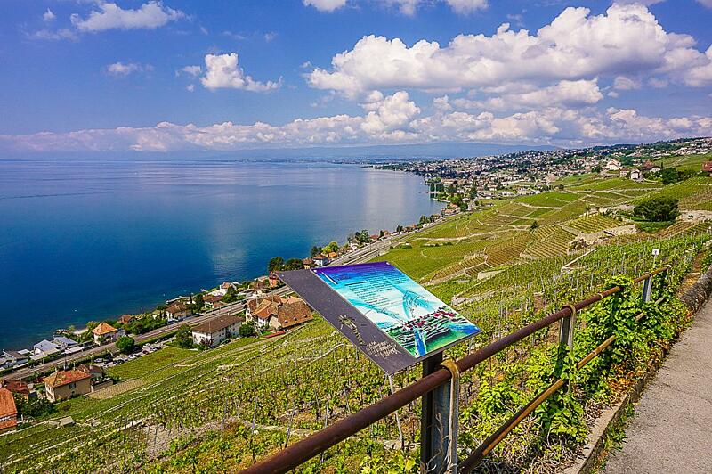 Švýcarsko s&nbsp;dětmi - Vinice v&nbsp;Lavaux