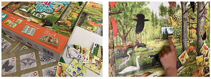 recenze hry MultiTrio Les