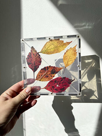 podzimní hrátky s&nbsp;magnetickými stavebnicemi Connetix - vylisované listy