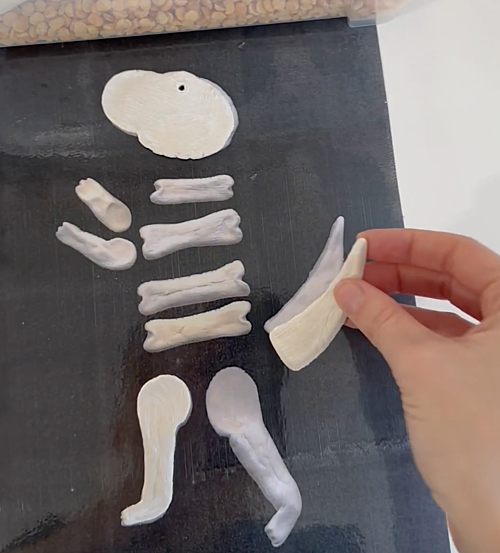 sensory play dinosauři - kostra