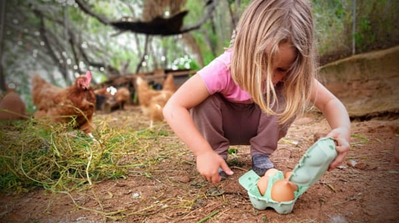 žít s&nbsp;dětmi na&nbsp;cestách